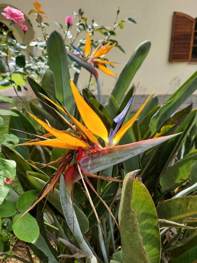 Casa Aconchegante - Circuito Teresopolis Friburgo Villa Екстериор снимка